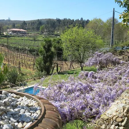 Quinta Das Aranhas Дом отдыха *