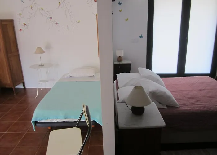 Quinta Das Aranhas *